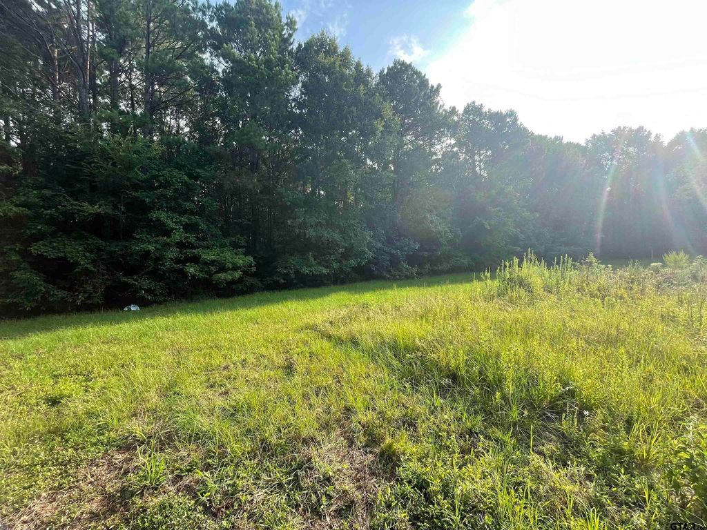 County Road 278, Carthage, TX 75633 MLS 10157342 Trulia