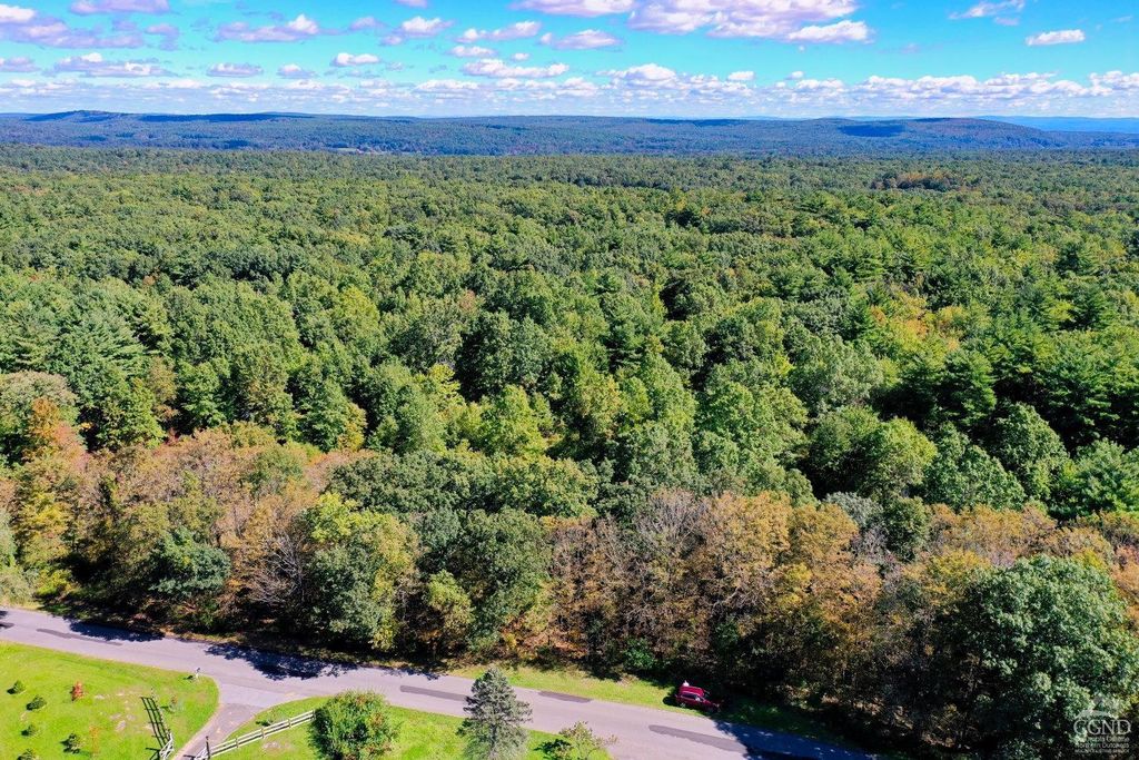 204 Joel Austin Road, Cairo, NY 12413 MLS# 139675 Trulia