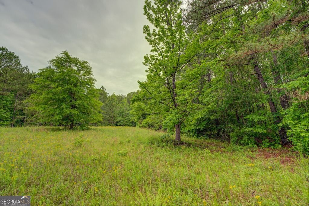Post Rd C43.44, Shady Dale, GA 31085 MLS 10384445 Trulia