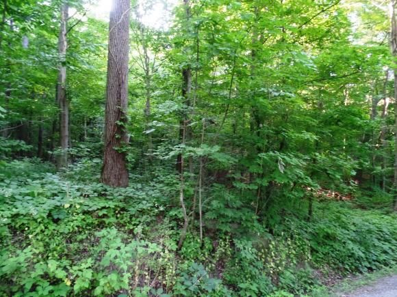 Rhodes Rd, Lodi, NY 14860