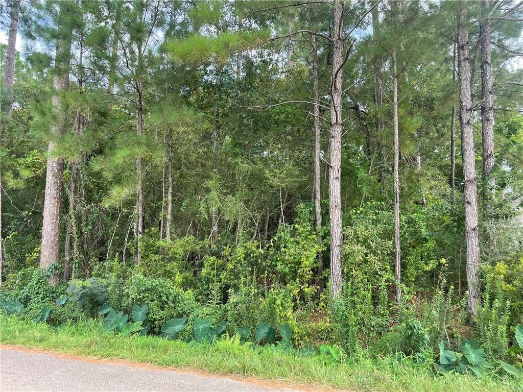 Lydia St, LA 70445 Trulia