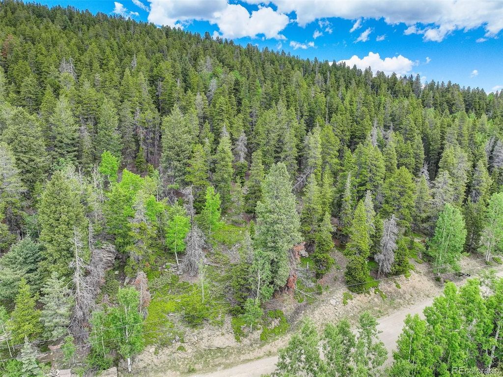 102 (Lot 35) Lodgepole Drive Lot 35, Evergreen, CO 80439 Trulia