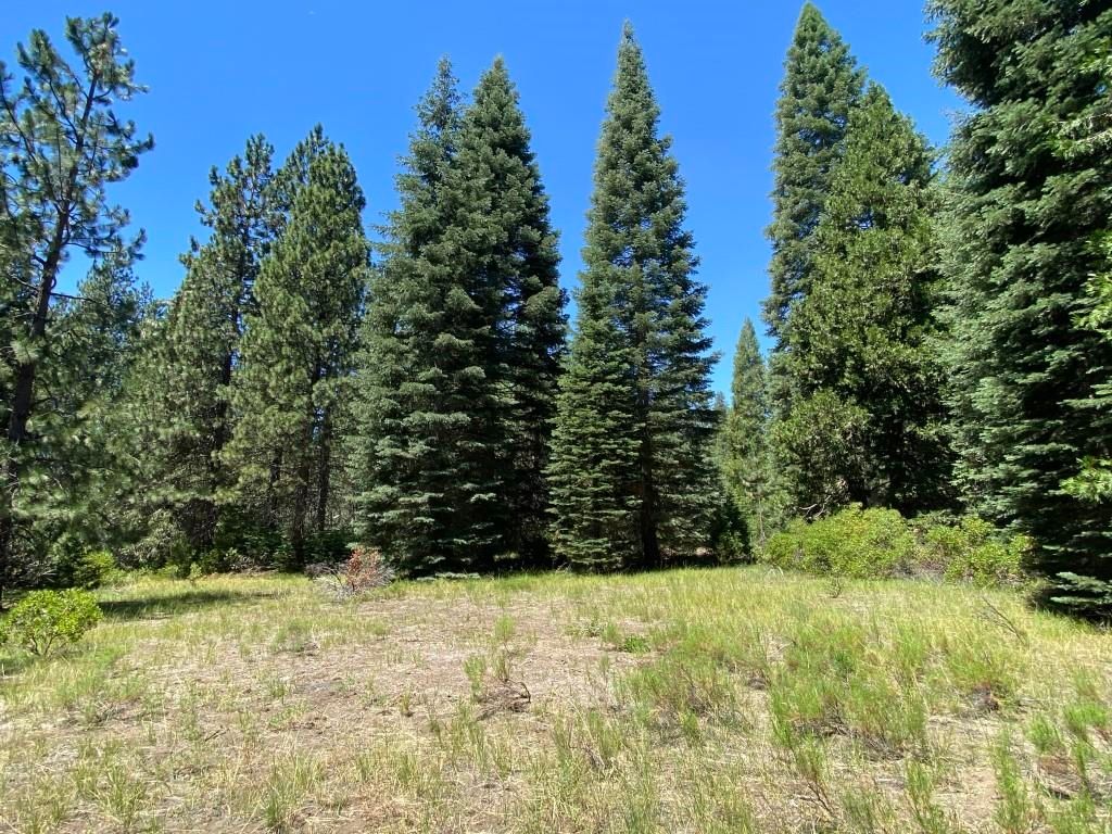 1I4 Glacier Dr, McCloud, CA 96057 Trulia