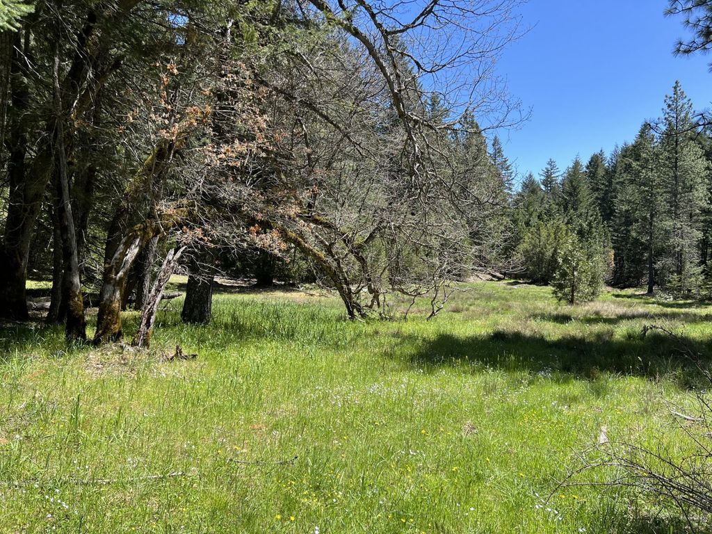 411 Old School House Rd, Zenia, CA 95595 Trulia