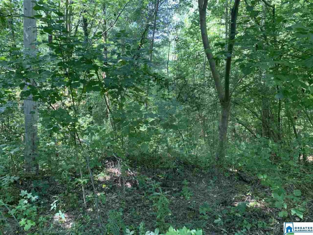 Hayfield Dr 2, Dora, AL 35062 Trulia