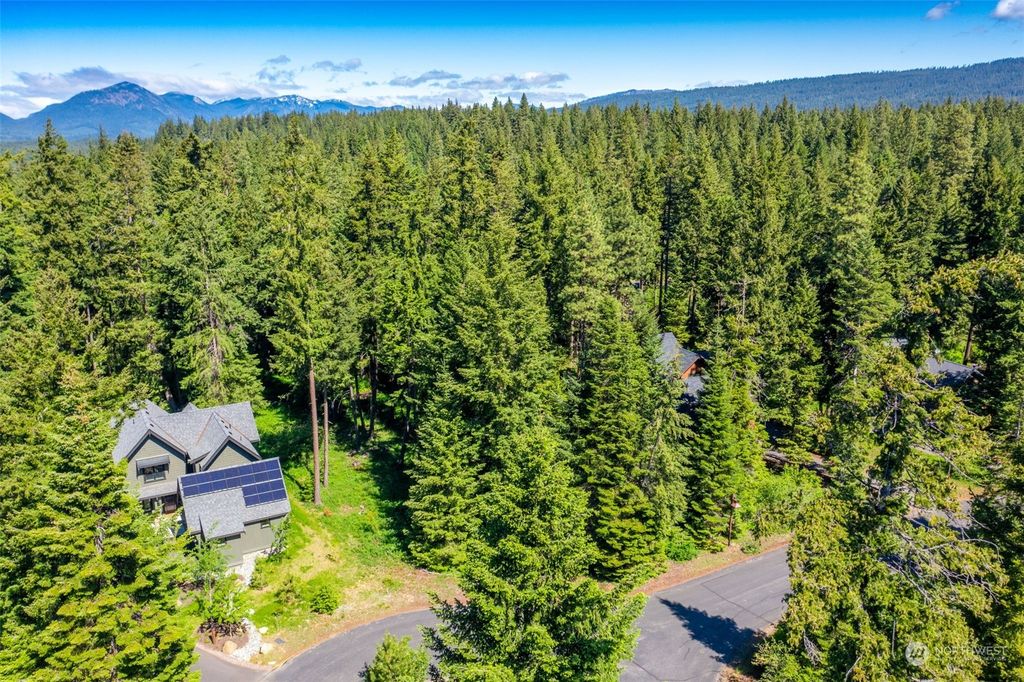 111 Elk Sedge Court, Cle Elum, WA 98922 Lot/Land for Sale MLS 2260241