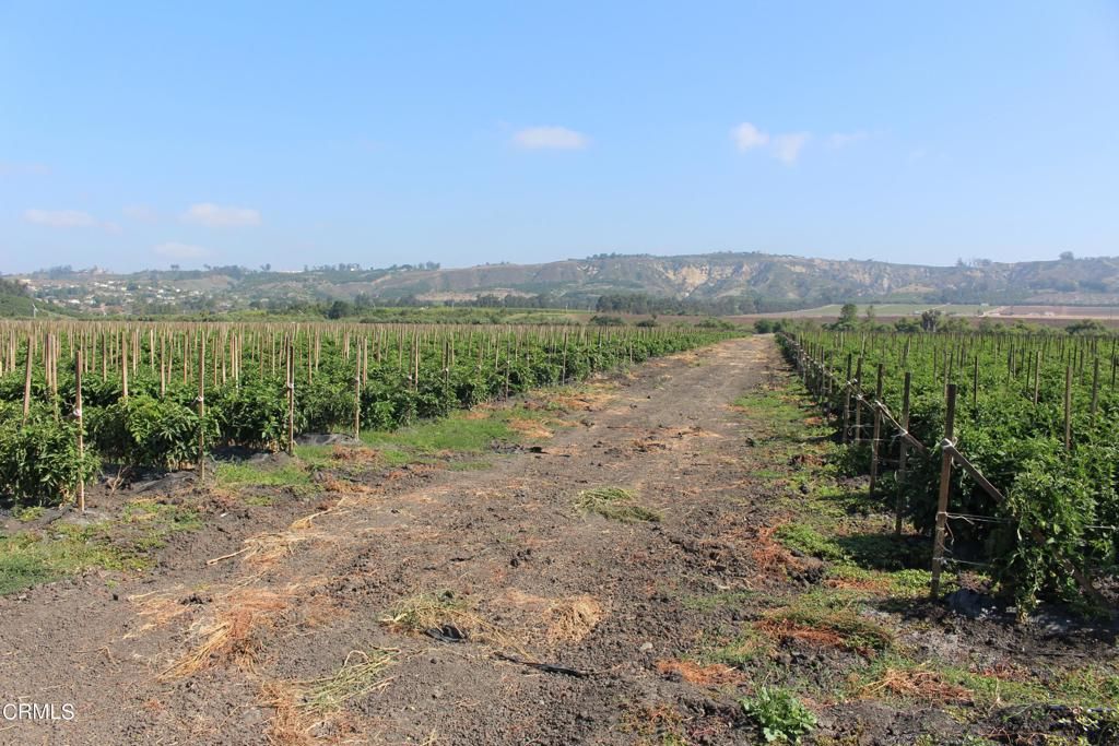 Santa Rosa Rd, Camarillo, CA 93012 MLS V119365 Trulia