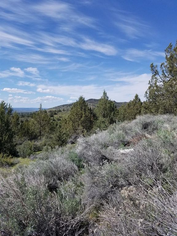 Wagner Mountain Dr, Alturas, CA 96101 Trulia