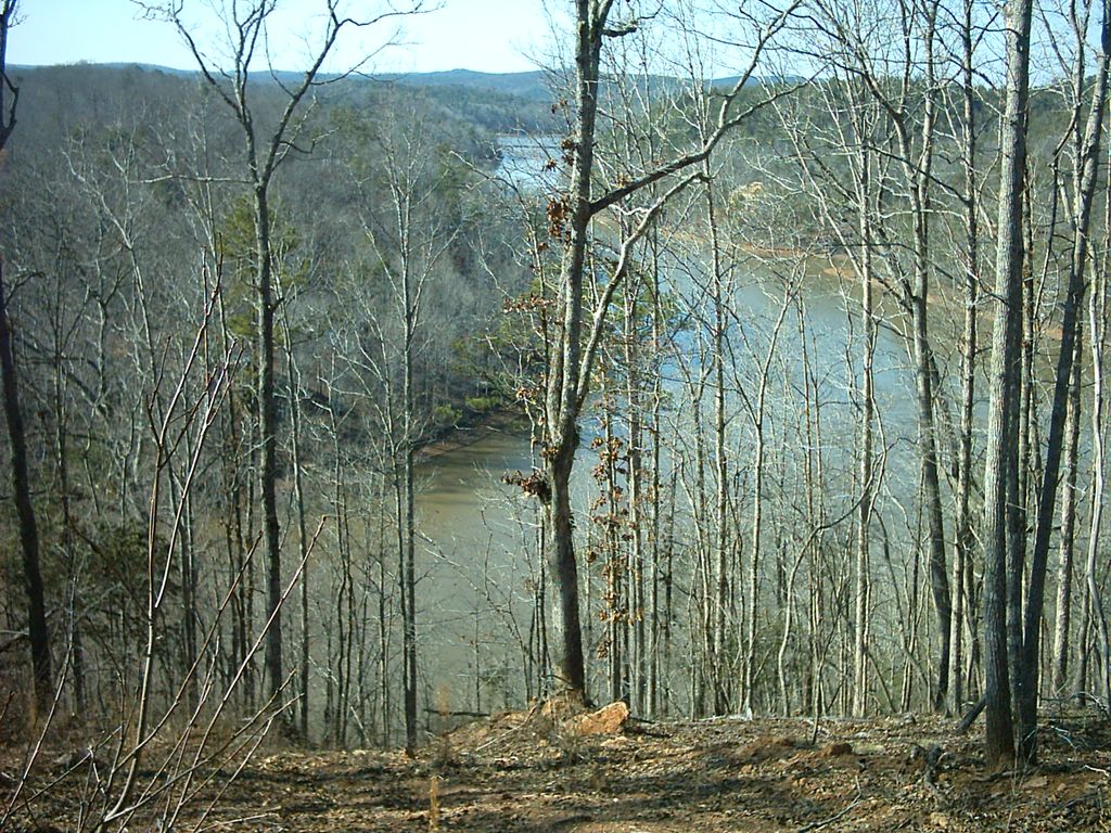 Lake Wedowee Lots, Wedowee, AL 36278 Trulia