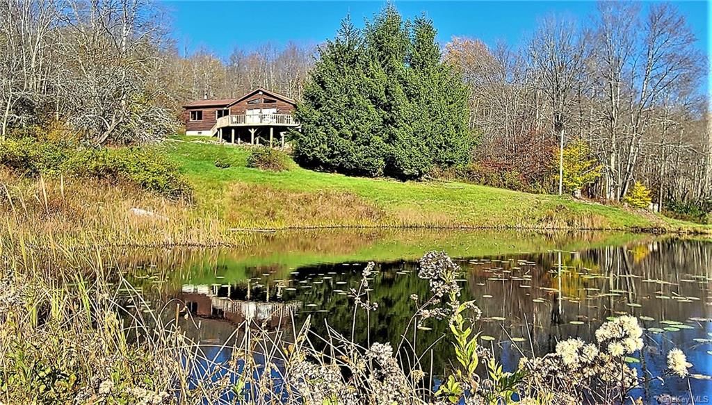 229 Glen Ellyn Road, Long Eddy, NY 12760 Trulia