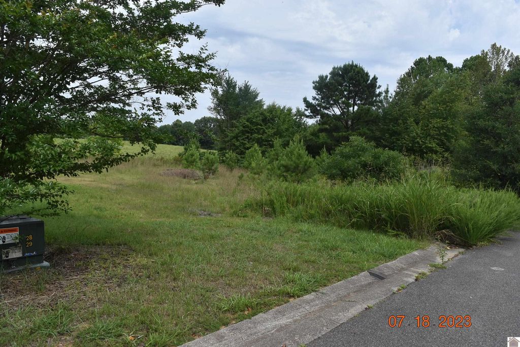 Tartan Fields Dr, Benton, KY 42025 MLS 123107 Trulia