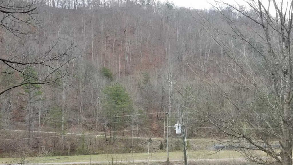 1 Caney Fork Rd, Martin, KY 41649 Trulia