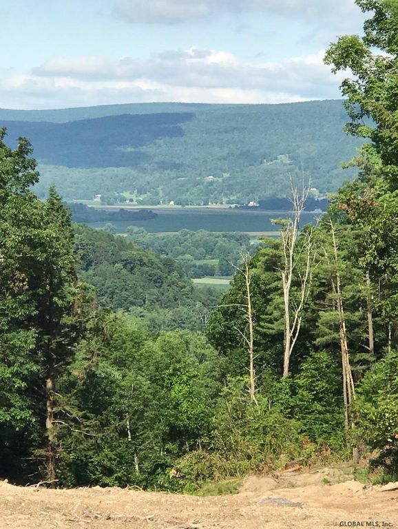 Huntersland Rd, Middleburgh, NY 12122 Trulia