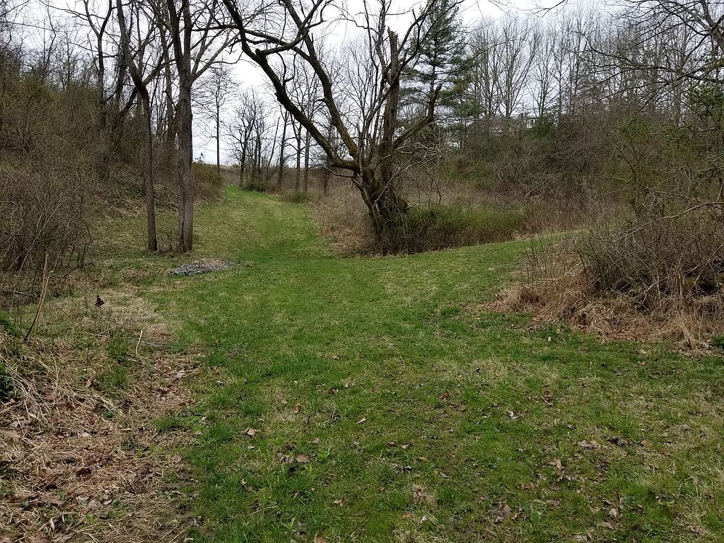 Firefly Ridge Trl, Alexander, NC 28701 Trulia