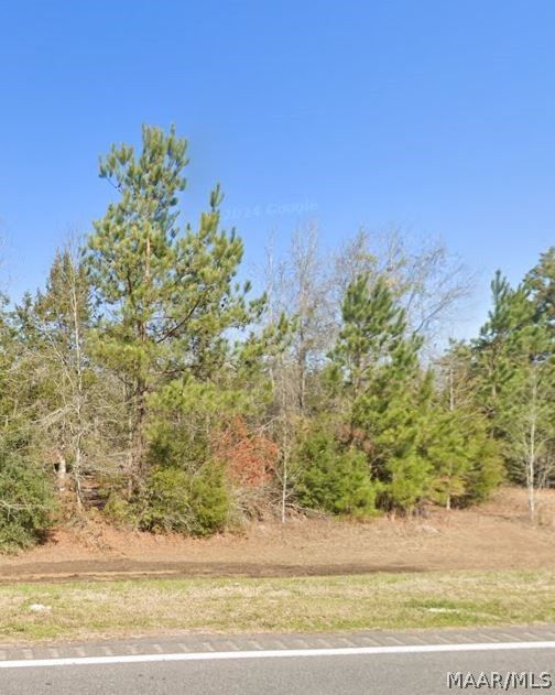 11 W Highway 134, Daleville, AL 36322 Lot/Land for Sale MLS 550390