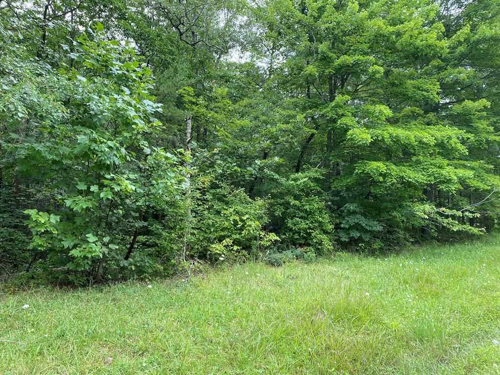 Cumberland Lakes Dr, Monterey, TN 38574 Trulia