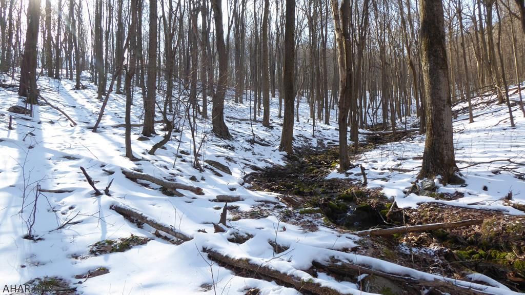 Leonard Rd, Alum Bank, PA 15521 Trulia