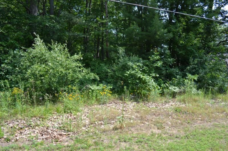 Cedar Lake Rd 12, Oscoda, MI 48750 Trulia