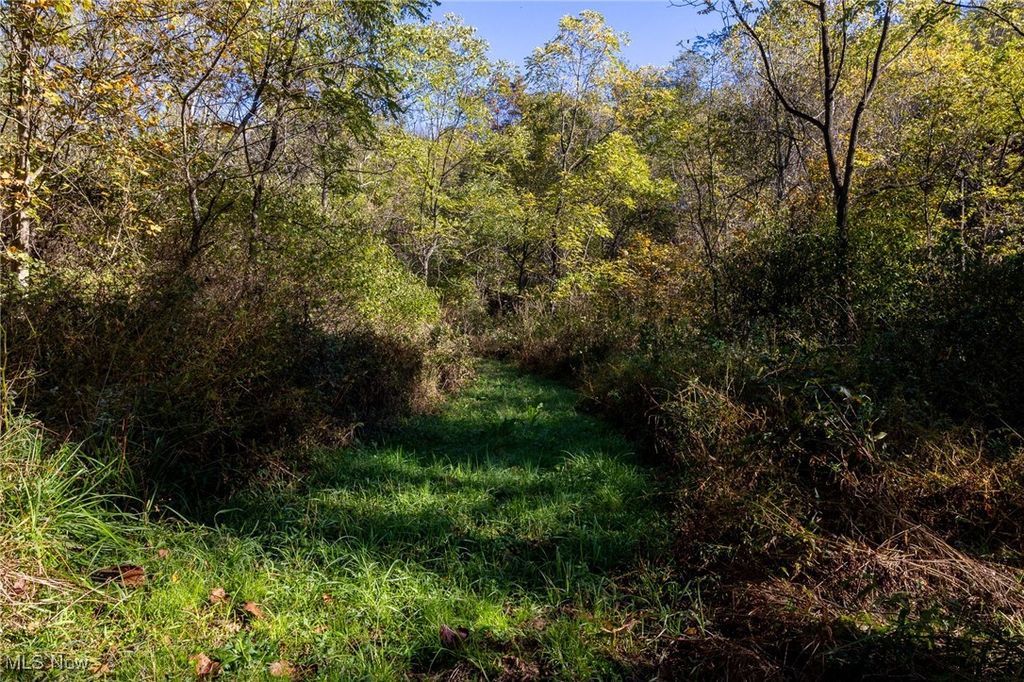 18125 County Road 54, Warsaw, OH 43844 MLS 5077859 Trulia