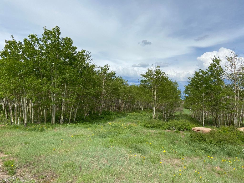 16 Salt Trl 7, Montrose, CO 81403 MLS 41662 Trulia