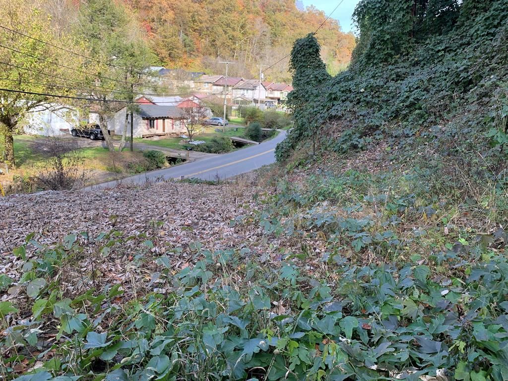 Chloe Rd, Pikeville, KY 41501 MLS 116233 Trulia