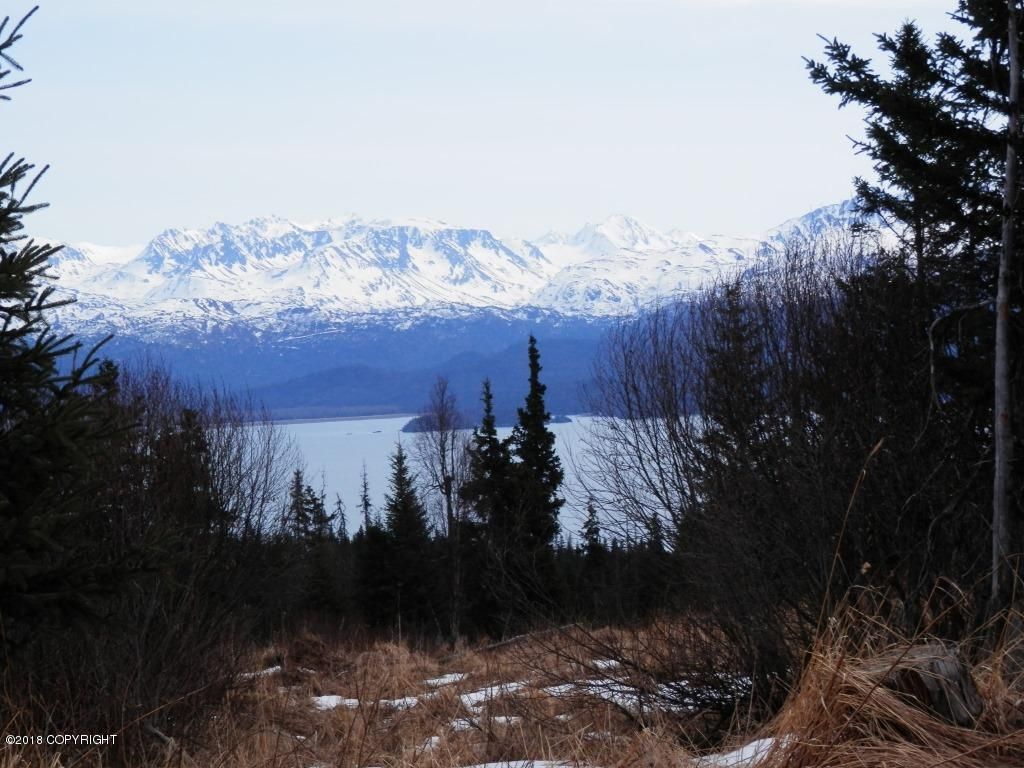 36486 Wild Haven Rd, Homer, AK 99603 Trulia