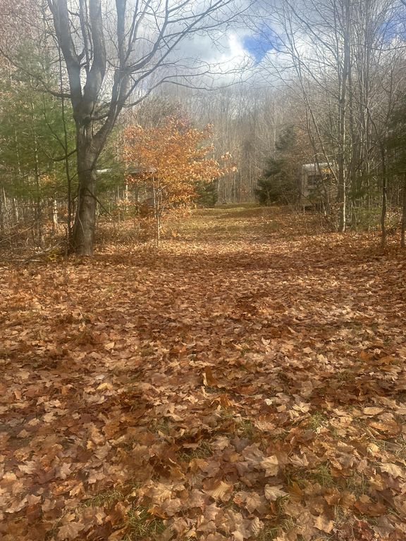 Entwood Ln SW, Fife Lake, MI 49633 MLS 23141666 Trulia