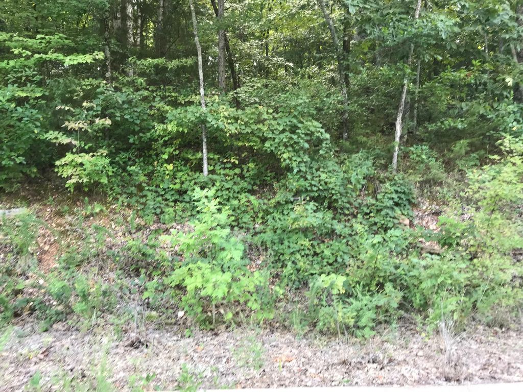 Lot 235 East Crescent Drive, Hollister, MO 65672 MLS 60227216 Trulia