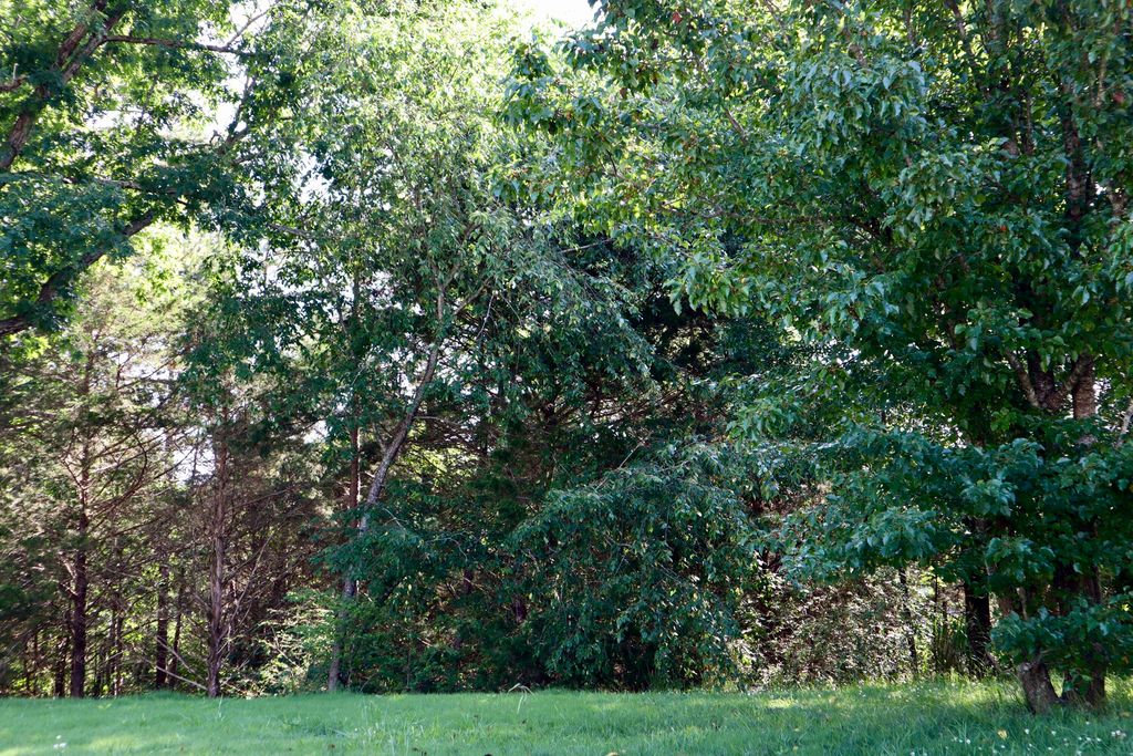 5503 Crooked Creek Dr, Ooltewah, TN 37363 Lot/Land for Sale MLS 1392835