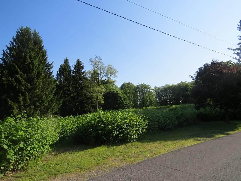 Circle Dr, Hatfield, MA 01038 Trulia