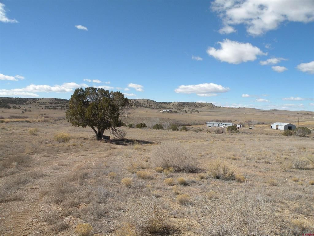 29337 Dd31 Trl, Nucla, CO 81424 MLS 802988 Trulia