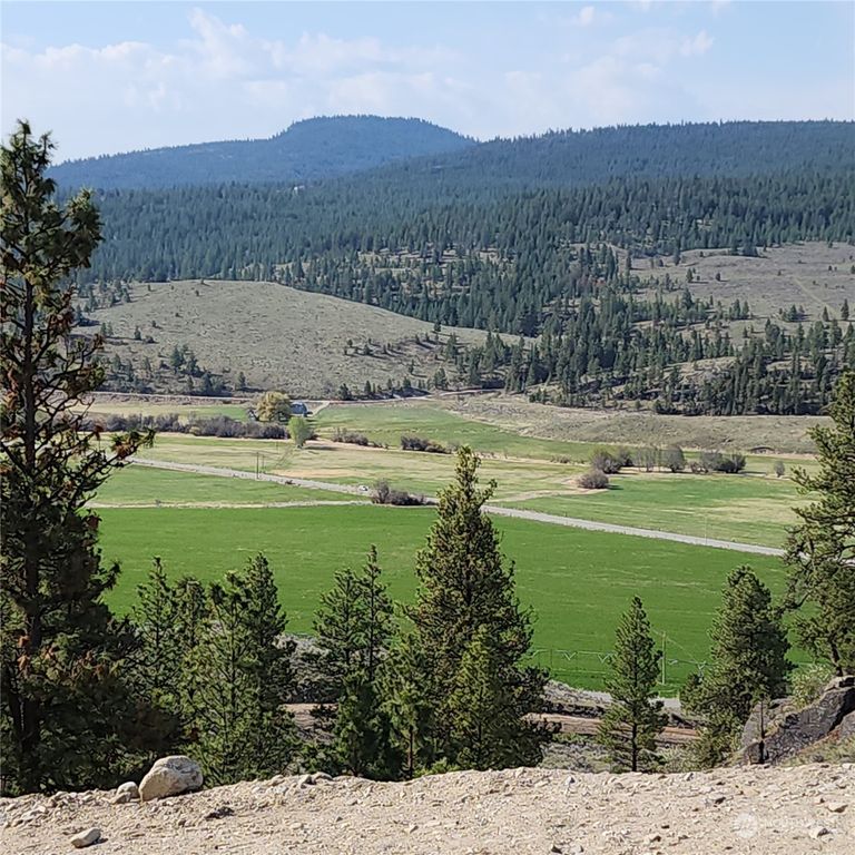 0 xxx SR 20 & Aeneas Valley Road, Tonasket, WA 98855 MLS 2074956