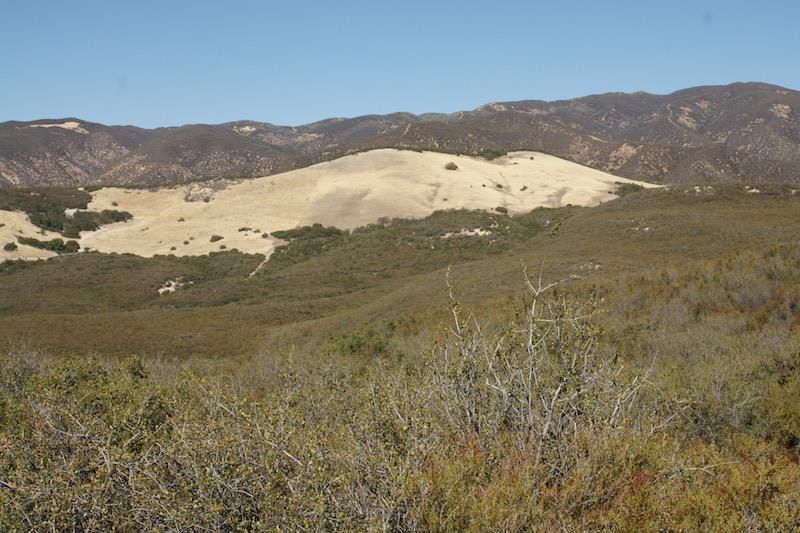 42500 E Carmel Valley Rd, Greenfield, CA 93927 Trulia