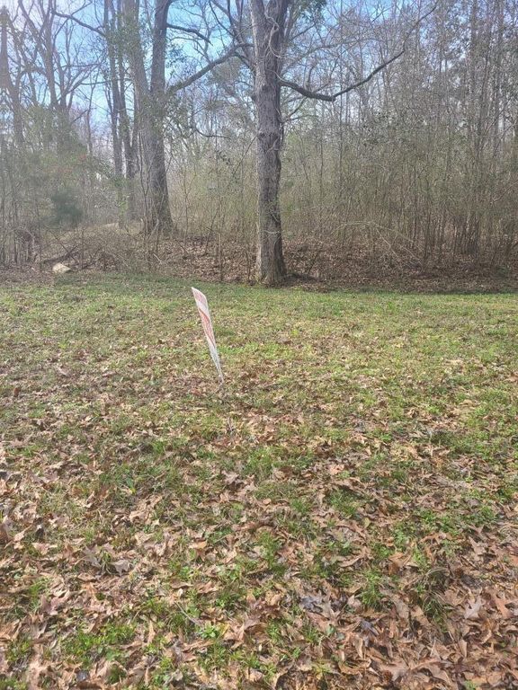 Hester Railroad Rd, Roxie, MS 39661 MLS 20230105 Trulia