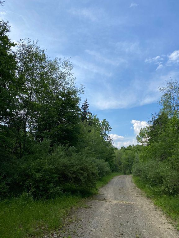 Beaver Valley Rd WP001, Fallentimber, PA 16639 Trulia