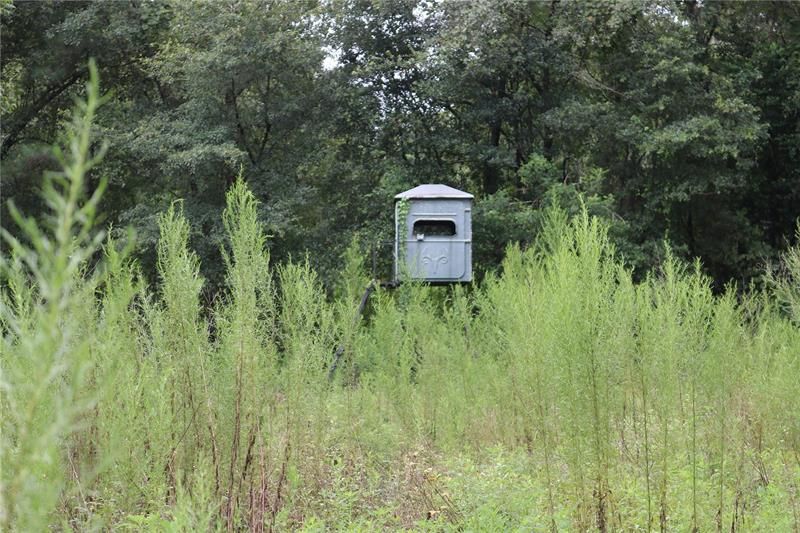 655 NW Lester Way, White Springs, FL 32094 Trulia