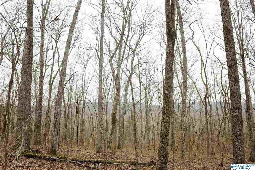 Valley Cruise Ln, Arab, AL 35016 Trulia