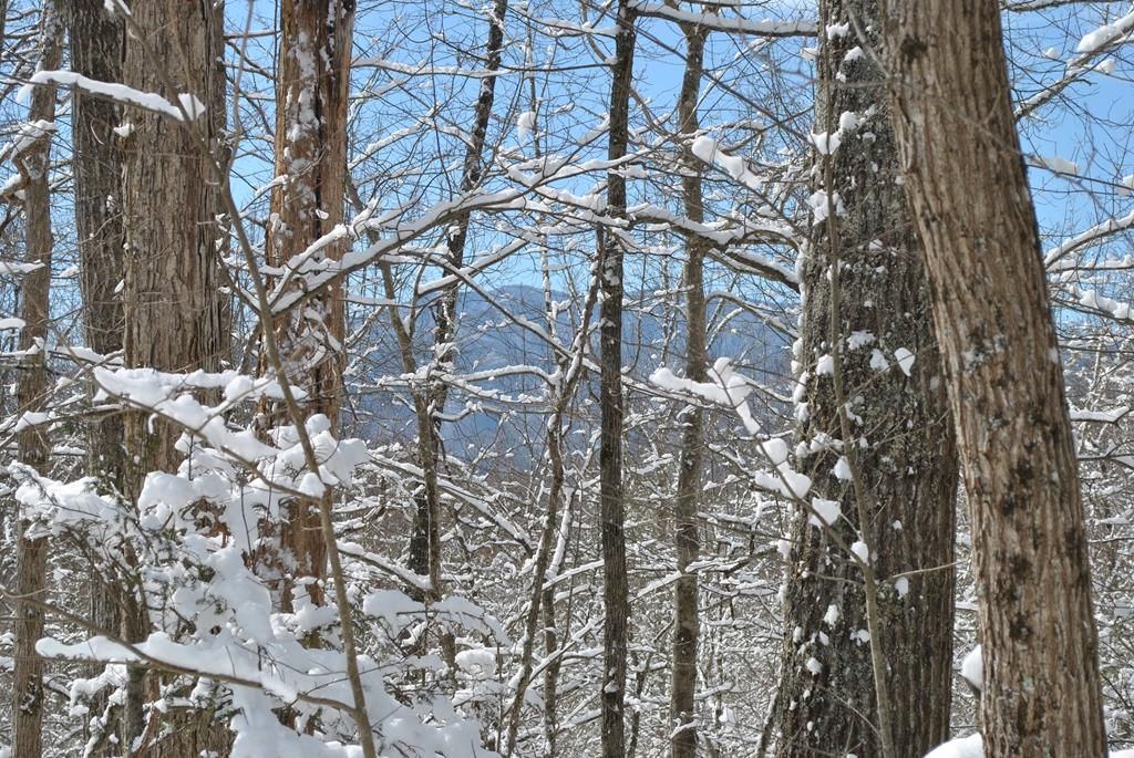 2520 Treehouse Ln, Sevierville, TN 37876 Trulia