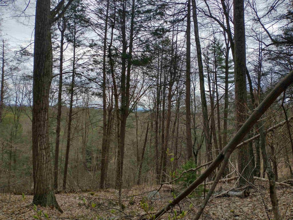 0 Allyn Road, Putney, VT 05346 MLS 4993311 Trulia