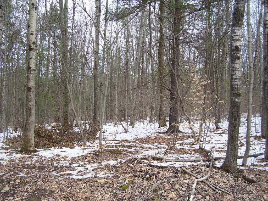 Tracy Rd, Afton, NY 13730 Trulia