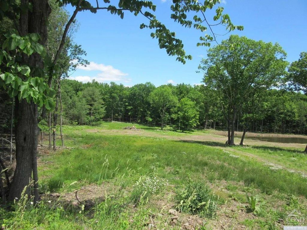 2 Grand Rd 2B, East Durham, NY 12423 Trulia