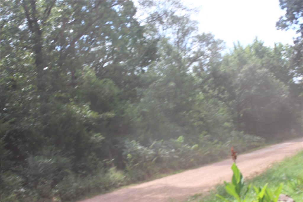 Big Springs Rd, Gravette, AR 72736 Trulia