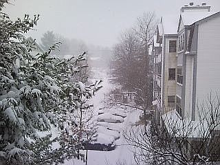 7705 Lafayette Forest Dr #84, Annandale, VA 22003