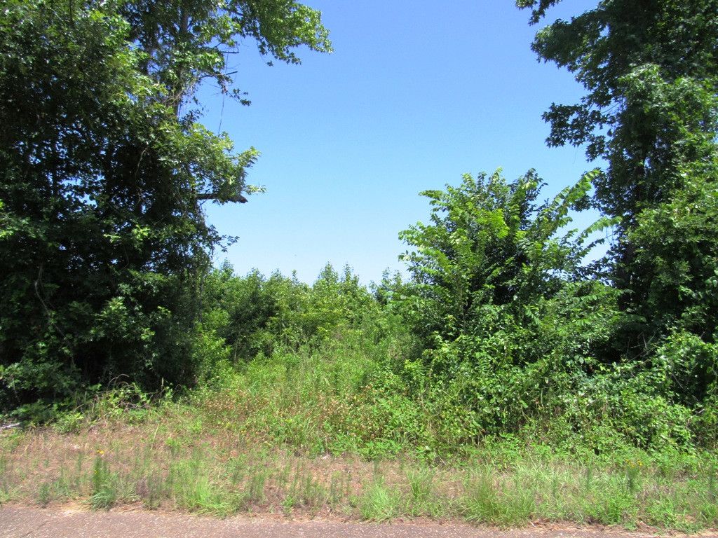 1981 Little River 70, Ashdown, AR 71853 Trulia