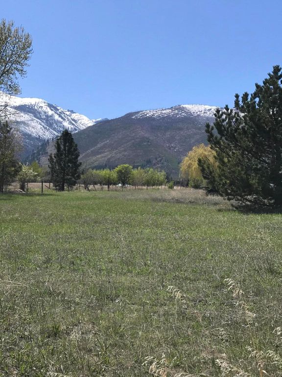 1110 Steller, Hamilton, MT 59840 Trulia