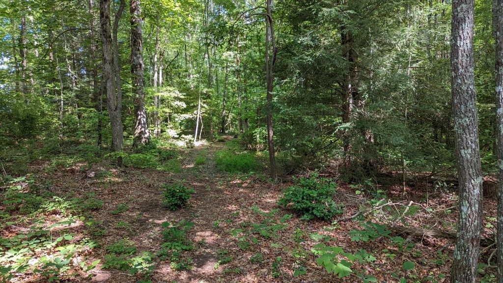 Main St, Altamont, TN 37301 MLS 2399588 Trulia