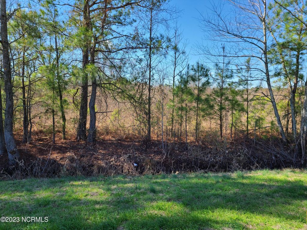 1 Delway Highway, Rose Hill, NC 28458 Trulia