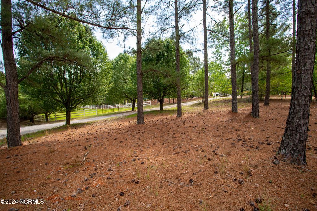 Tbd Shagbark Court LOT 87, West End, NC 27376 MLS 100443968 Trulia