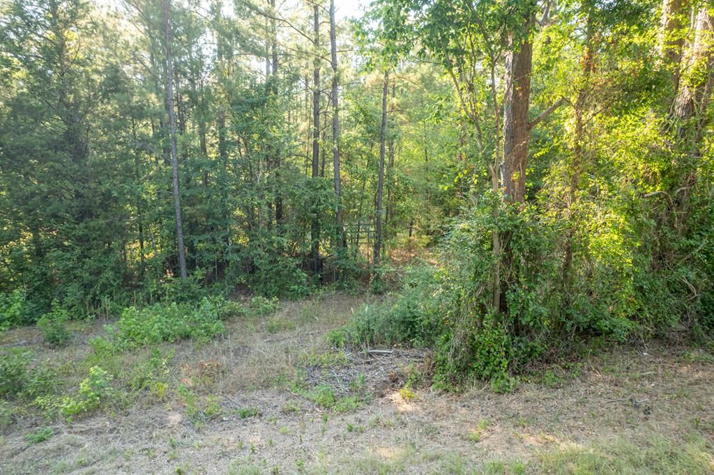 FM 319, Elkhart, TX 75839 Trulia