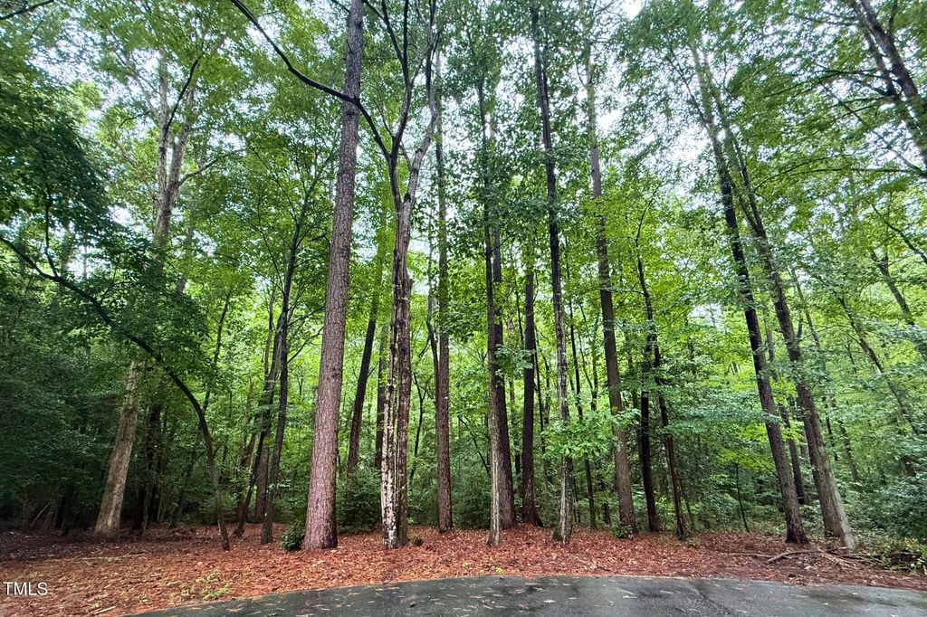 3124 Sandwedge #3124, Sanford, NC 27332